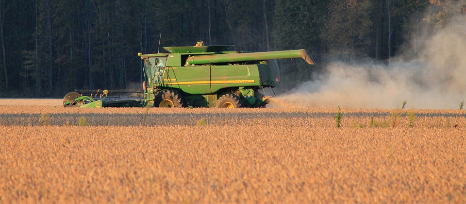 CWAN Biannual Commodities Update Soybean Harvesting Pixabay